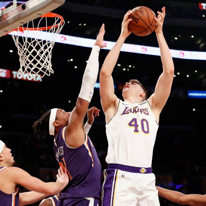 Photo de Ivica Zubac, saison 2018-2019